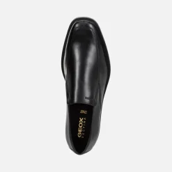 Homme Geox BRANDOLF HOMME