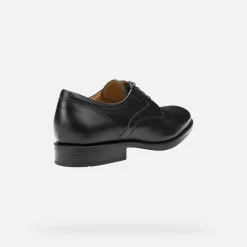 Homme Geox FEDERICO HOMME
