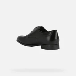 Homme Geox IACOPO HOMME