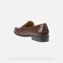 Homme Geox NEW DAMON HOMME
