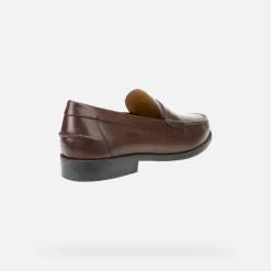 Homme Geox NEW DAMON HOMME