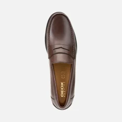 Homme Geox NEW DAMON HOMME