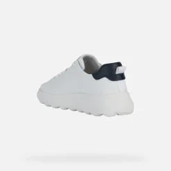 Homme Geox SPHERICA EC4.1 HOMME
