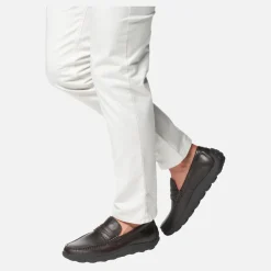 Homme Geox SPHERICA EC14 HOMME
