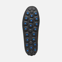 Homme Geox SPHERICA EC14 HOMME