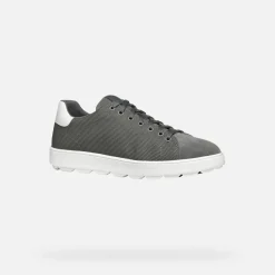 Homme Geox SPHERICA ECUB-1 HOMME