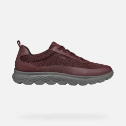 Homme Geox SPHERICA HOMME