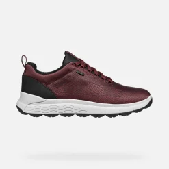 Homme Geox SPHERICA 4X4 ABX HOMME