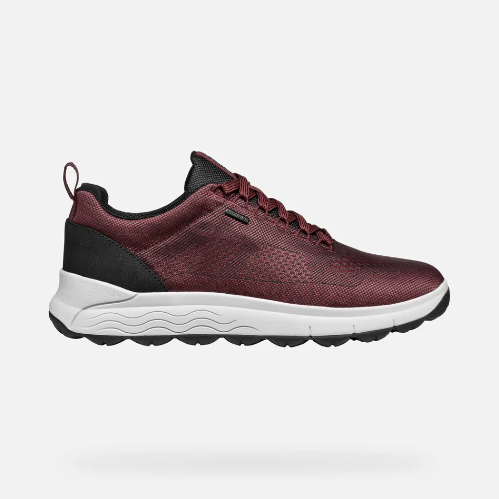 Homme Geox SPHERICA 4X4 ABX HOMME