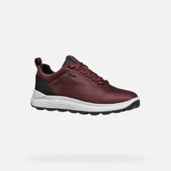 Homme Geox SPHERICA 4X4 ABX HOMME