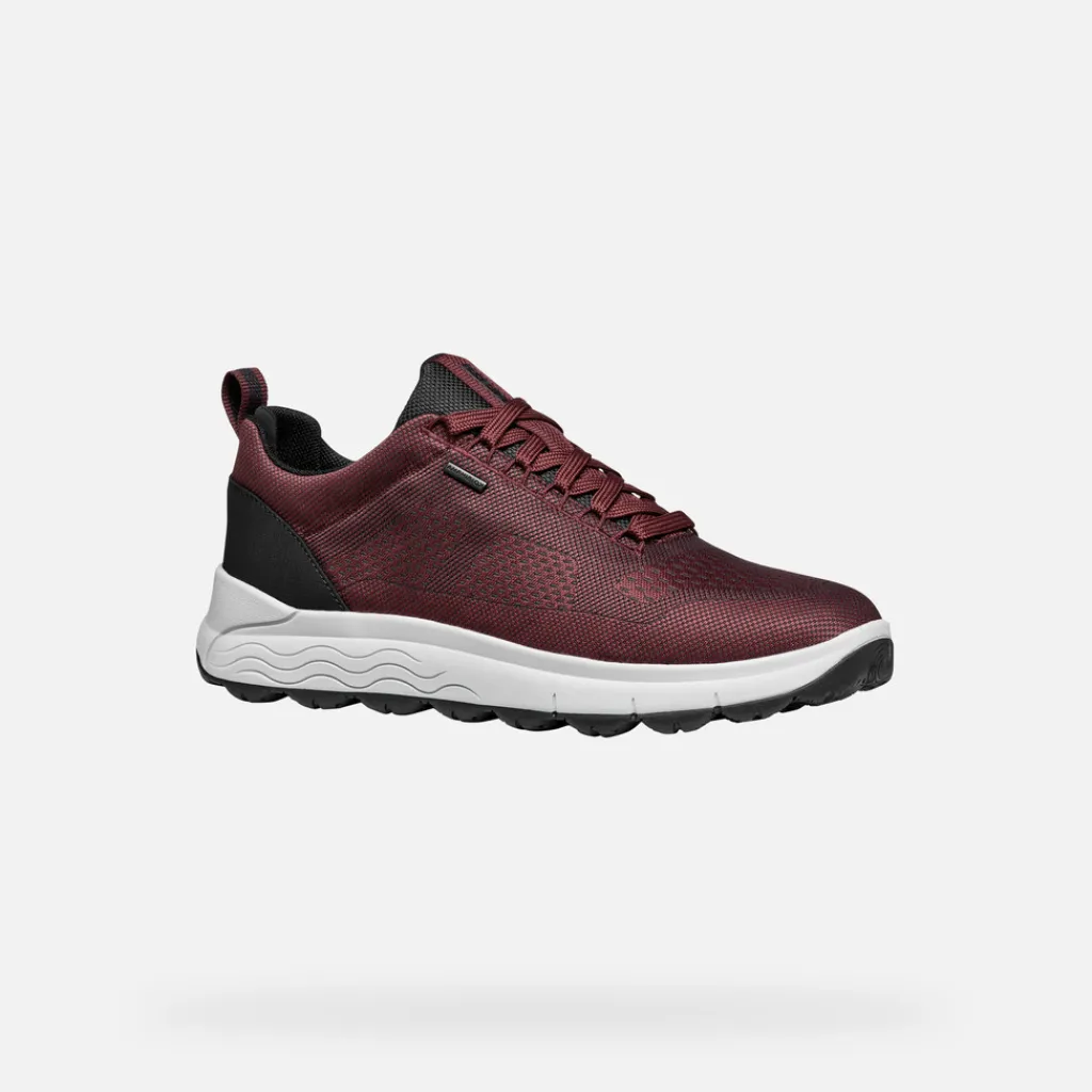 Homme Geox SPHERICA 4X4 ABX HOMME