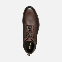 Homme Geox TERENCE HOMME