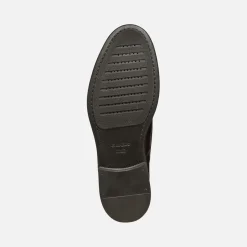Homme Geox TERENCE HOMME