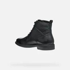 Homme Geox TERENCE HOMME