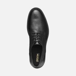 Homme Geox TERENCE HOMME