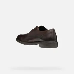 Homme Geox TERENCE HOMME