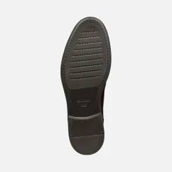 Homme Geox TERENCE HOMME