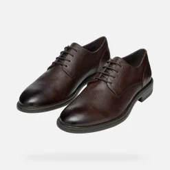 Homme Geox TERENCE HOMME