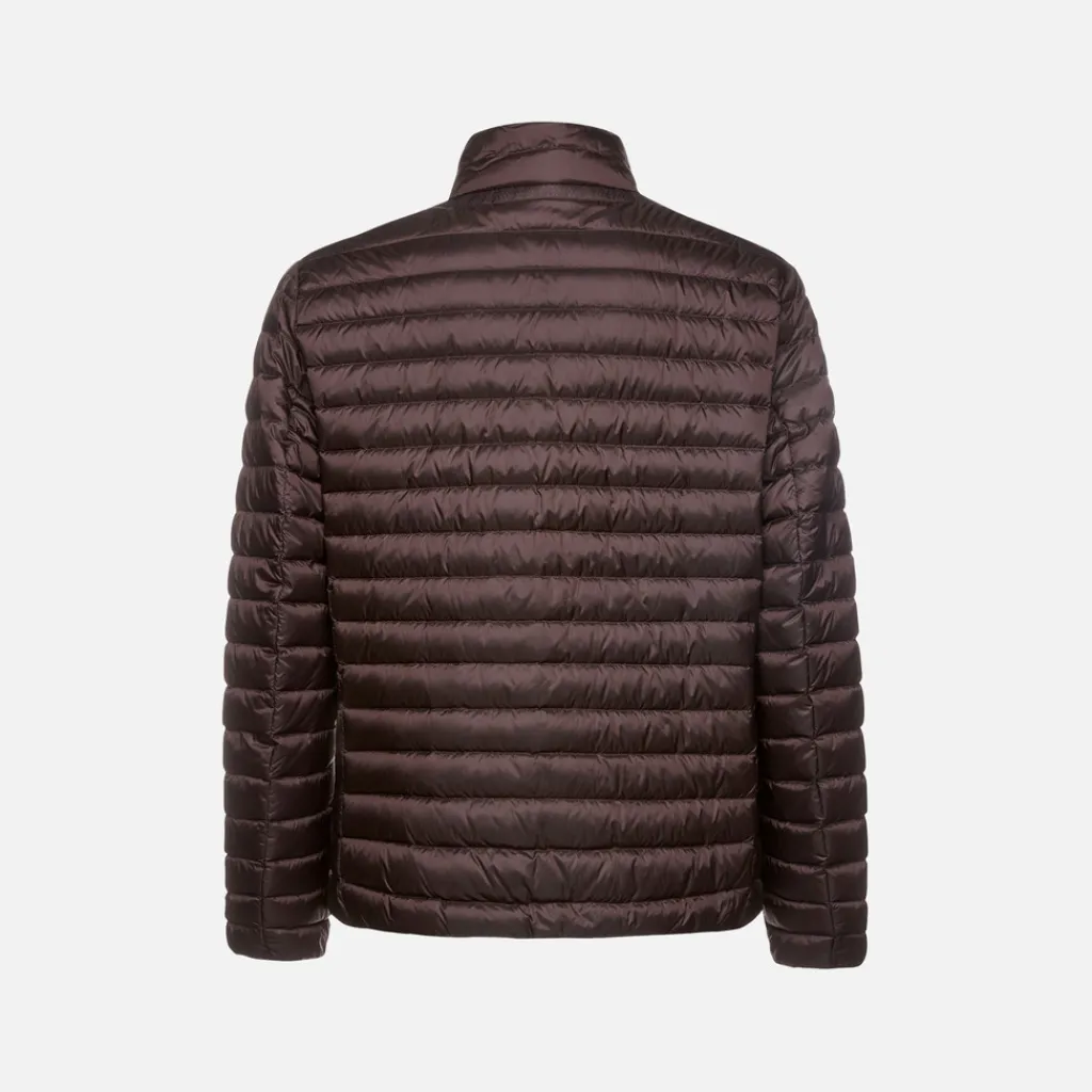 Homme Geox WARRENS HOMME